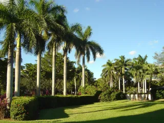 Things To Do in Miami, Florida: Beaches, Culture, and Nonstop Energy