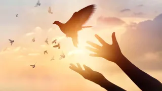 How to Forgive