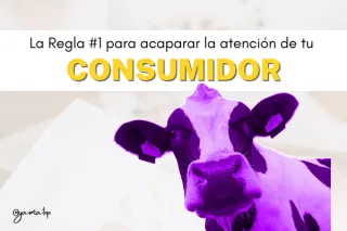 Anota la regla #1 para acaparar la atención del consumidor