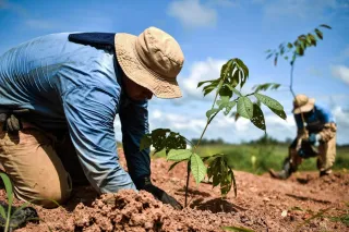 COP29 anuncia revolucionario fondo climático de US$1.000 millones: ¿El impulso definitivo para frenar el cambio climático?