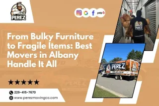 From Bulky Furniture to Fragile Items: Best Movers in Albany Handle It All
