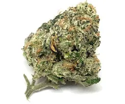 FAQ image