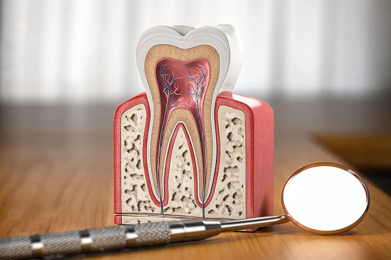 Interview with Dr. Med Dent Dimos Panagidis, an endodontist