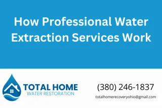 How Professional Water Extraction Services Work