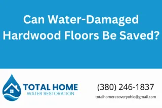 Can Water-Damaged Hardwood Floors Be Saved?