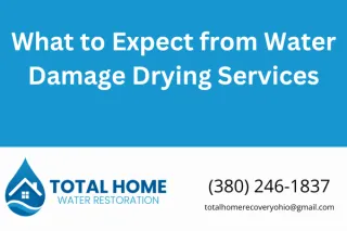 What to Expect from Water Damage Drying Services