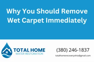 Why You Should Remove Wet Carpet Immediately