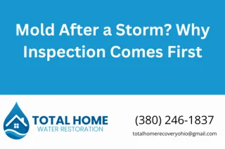 Mold After a Storm? Why Inspection Comes First