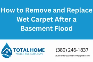 How to Remove and Replace Wet Carpet After a Basement Flood