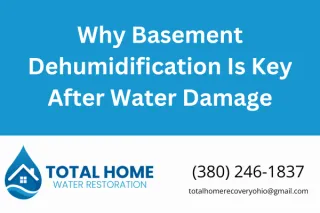 Why Basement Dehumidification Is Key After Water Damage