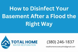 How to Disinfect Your Basement After a Flood the Right Way