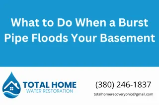 What to Do When a Burst Pipe Floods Your Basement