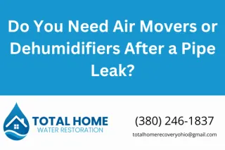Do You Need Air Movers or Dehumidifiers After a Pipe Leak?