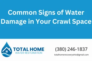 Common Signs of Water Damage in Your Crawl Space