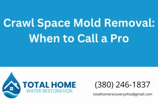 Crawl Space Mold Removal: When to Call a Pro