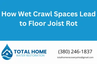 How Wet Crawl Spaces Lead to Floor Joist Rot