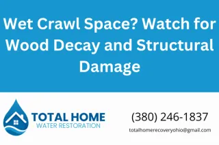 Wet Crawl Space? Watch for Wood Decay and Structural Damage