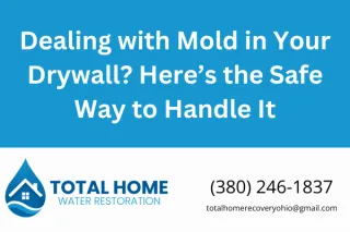 Dealing with Mold in Your Drywall? Here’s the Safe Way to Handle It