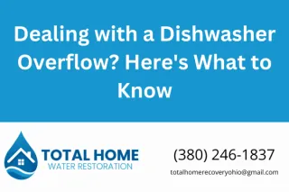 Dealing with a Dishwasher Overflow? Here's What to Know