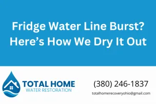 Fridge Water Line Burst? Here’s How We Dry It Out