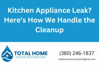 Kitchen Appliance Leak? Here’s How We Handle the Cleanup