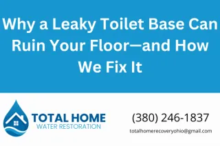 Why a Leaky Toilet Base Can Ruin Your Floor—and How We Fix It