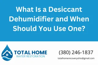 What Is a Desiccant Dehumidifier and When Should You Use One?