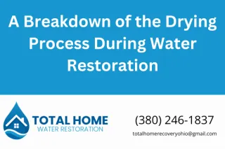 A Breakdown of the Drying Process During Water Restoration