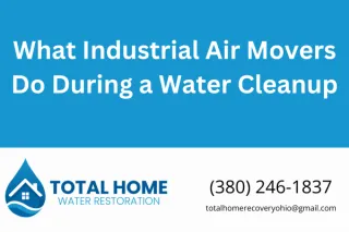 What Industrial Air Movers Do During a Water Cleanup