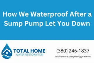 How We Waterproof After a Sump Pump Let You Down