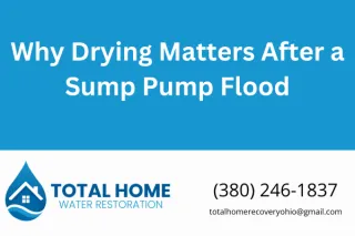 Why Drying Matters After a Sump Pump Flood