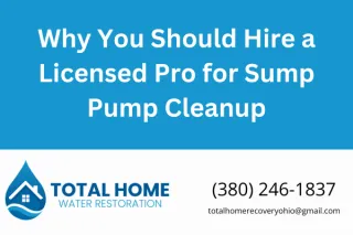 Why You Should Hire a Licensed Pro for Sump Pump Cleanup