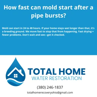 How fast can mold start after a pipe bursts?