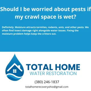 Should I be worried about pests if my crawl space is wet?