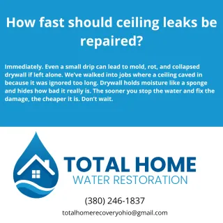 How fast should ceiling leaks be repaired?