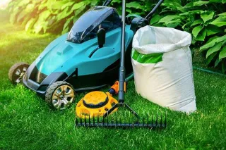 Transform Your Outdoor Space: Top 10 Landscaping Tips for a Beautiful Yard
