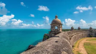 The Sacred Sound of Home: Puerto Rico, the Coquí, and the Power of Respect