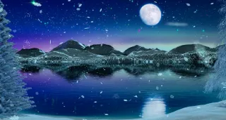 Your Bones Know What Winter Is For