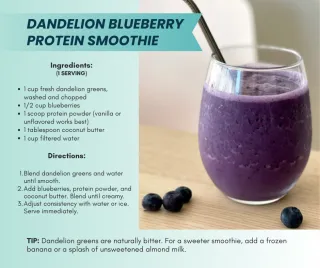 Nutritious Dandelion Blueberry Smoothie Recipe