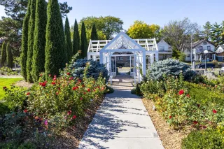 Lincoln in Full Bloom: Your Peaceful Getaway to Hamann Rose Garden