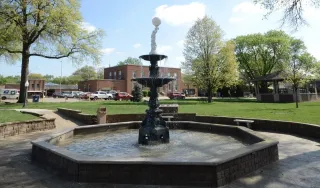 🌳Lincoln’s Chill Corner: Why Tuxedo Park Is the Laid-Back Escape You Didn’t Know You Needed
