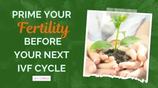 Prime Your Fertility Before Your Next IVF Cycle