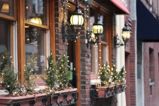 Beautify Your Backyard with Perfectly Placed Landscape Lighting