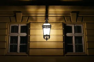 Elevate Your Landscape with These Lighting Ideas