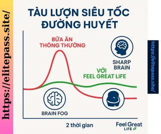ĐƯỜNG CONG NĂNG LƯỢNG CỦA BẠN MANG MÀU ĐỎ HAY XANH? NHÌN BIỂU ĐỒ, HIỂU CƠ THỂ