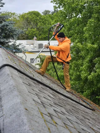 Roof Moss Removal Hillsboro Oregon