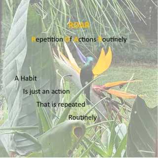 How to create better habits