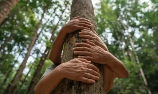 The Power of Connection
