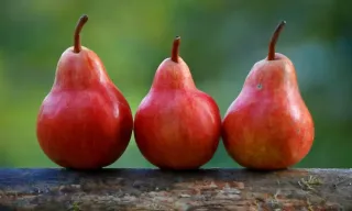 3 Key Reasons Organisations Face Cultural Challenges