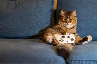 Hyped Games That Totally Let Us Down